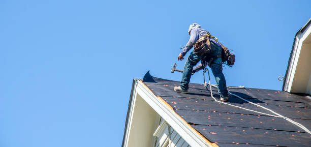 Best Roof Waterproofing Services  in Dallas Center, IA